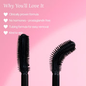 Everylash Serum Infused Mascara 6mL