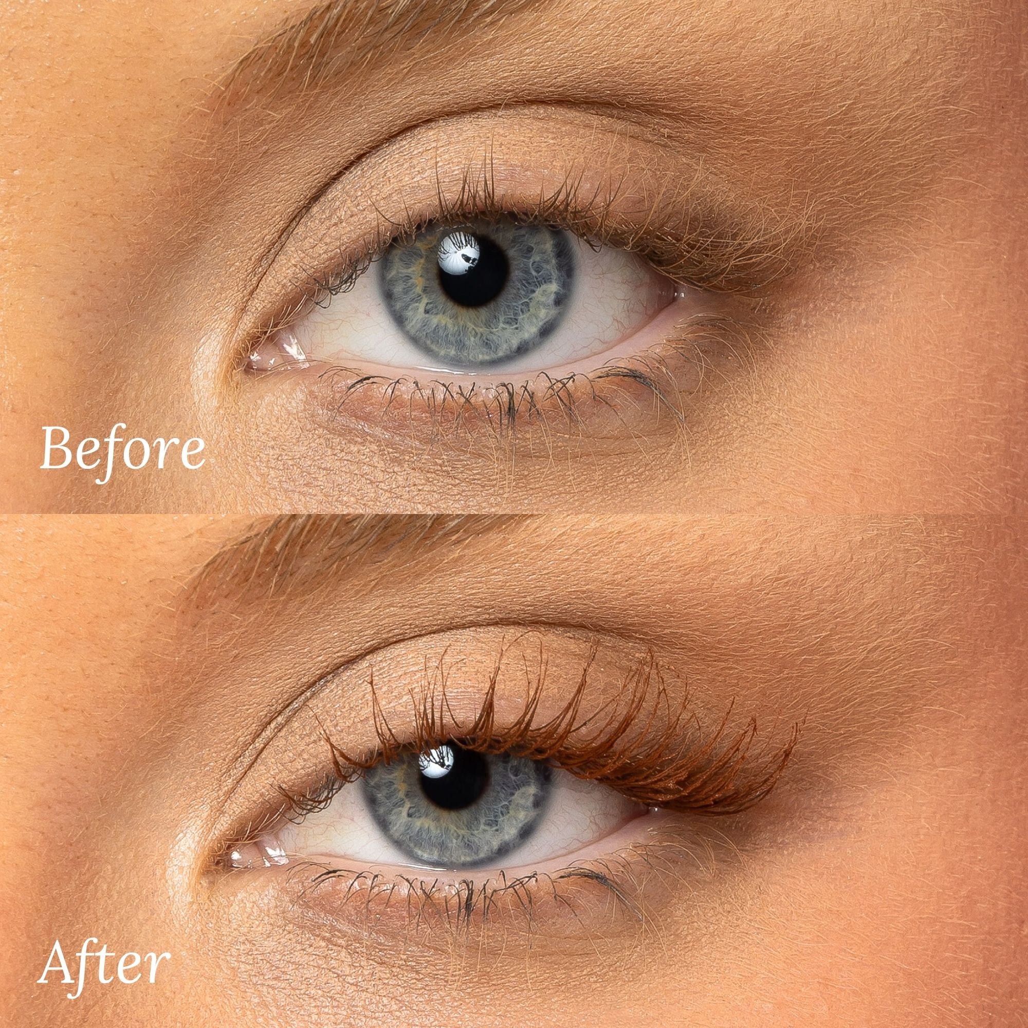 Before and after results using Lash Therapy Australia brown Everylash growth serum mascara showing fuller lashes